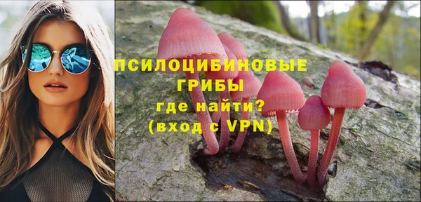 PSILOCYBIN Верхний Тагил